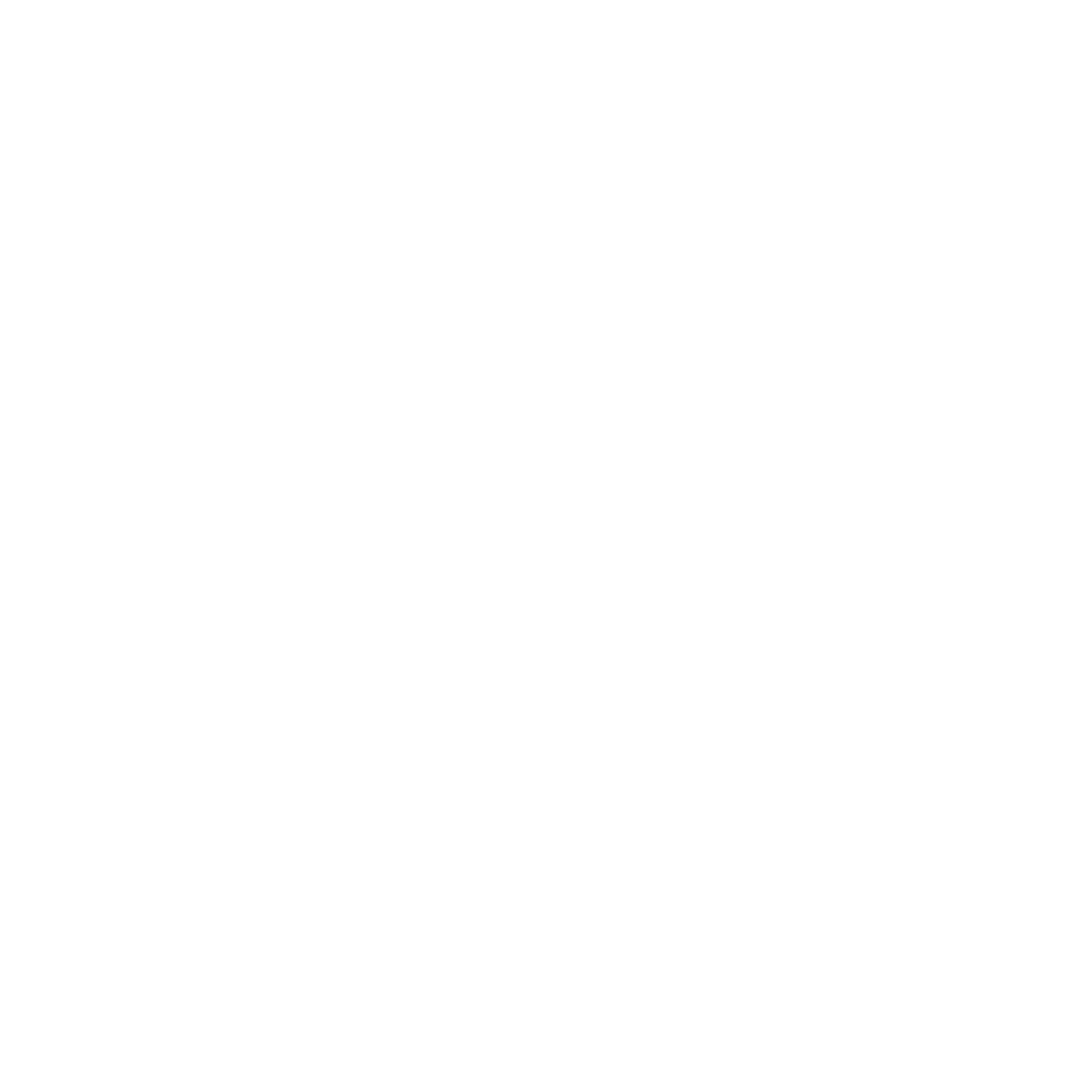 Zino NYC logo in white
